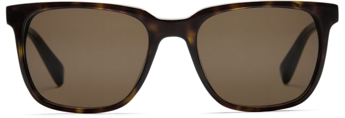 Dark Brown Square Sunglasses